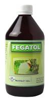 FEGATOL 500 - PROVITALITY