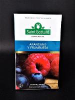 INFUSION DE FRUTAS ARANDANO FRAMB SAINT G X 20